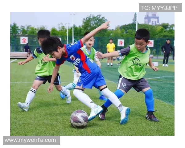 绿茵场上激情与荣耀全面展现世界足球球星独特风采